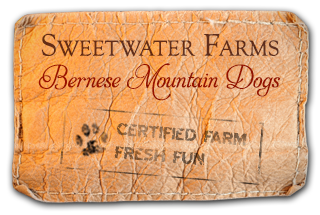 Sweetwater Farms Bernese Mountain Dogs logo